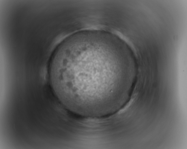 X0000092301215200709211225