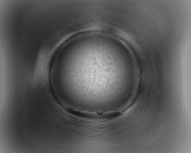 X0000092301216200709211225