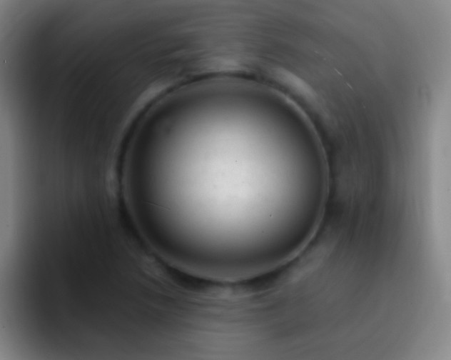 X0000092301218200709211225