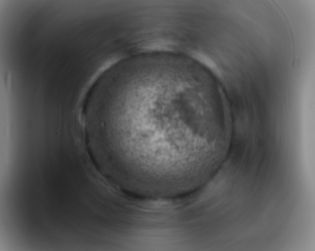 X0000092301219200709211225