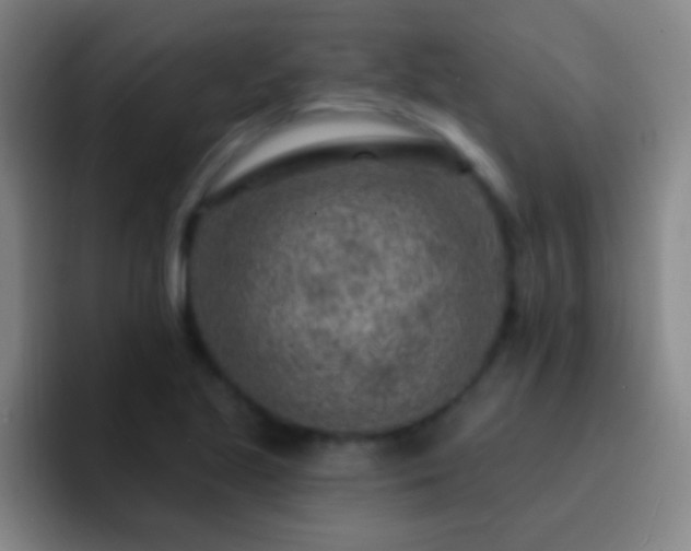 X0000092301221200709211225