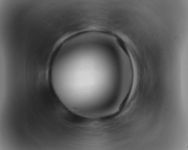 X0000092301222200709211225