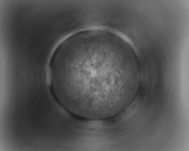 X0000092301223200709211225