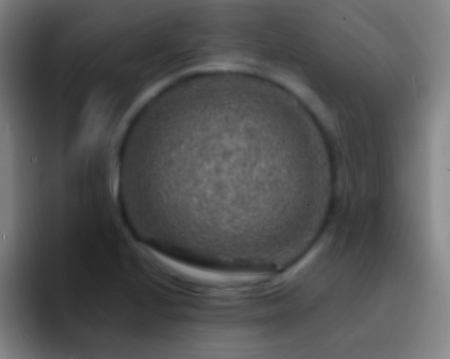 X0000092301224200709211225