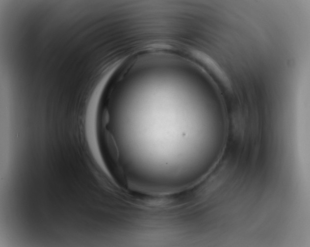 X0000092301225200709211225