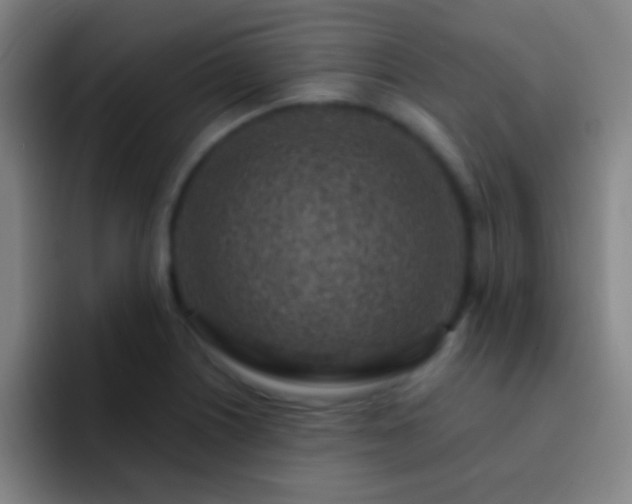 X0000092301226200709211225