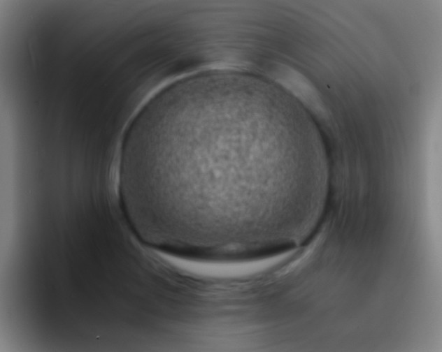 X0000092301228200709211225