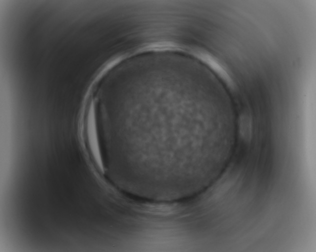 X0000092301229200709211225