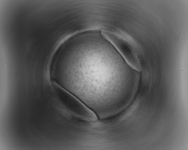 X0000092301230200709211225