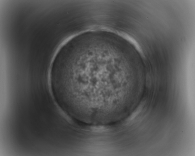 X0000092301231200709211225