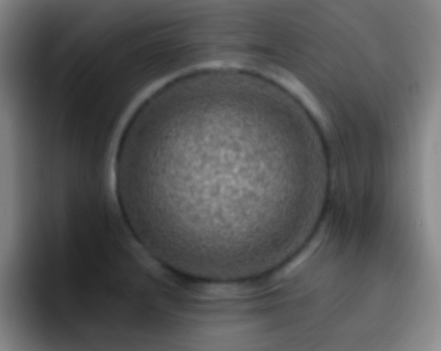X0000092301232200709211225