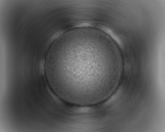 X0000092301233200709211225