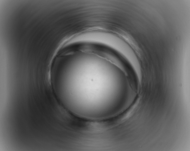 X0000092301234200709211225