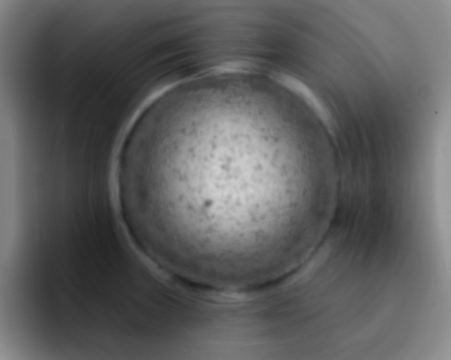 X0000092301235200709211225