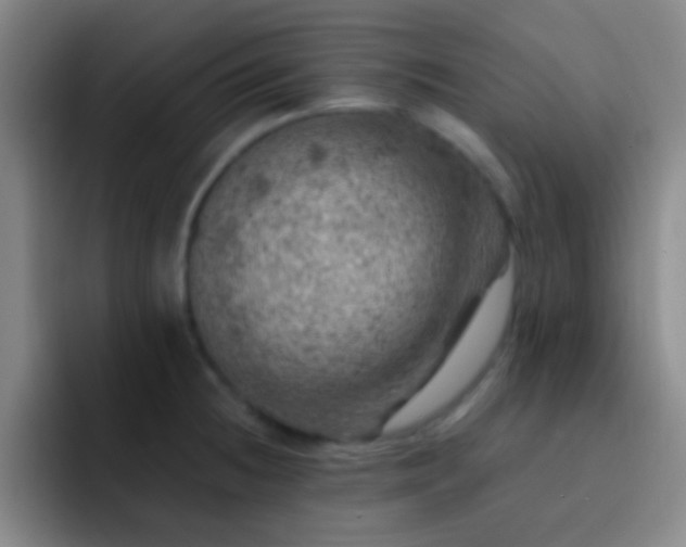 X0000092301236200709211225