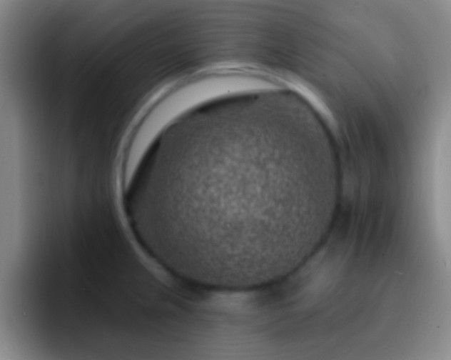 X0000092301237200709211225