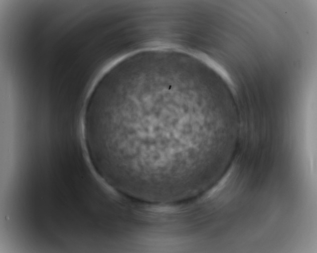 X0000092301239200709211225