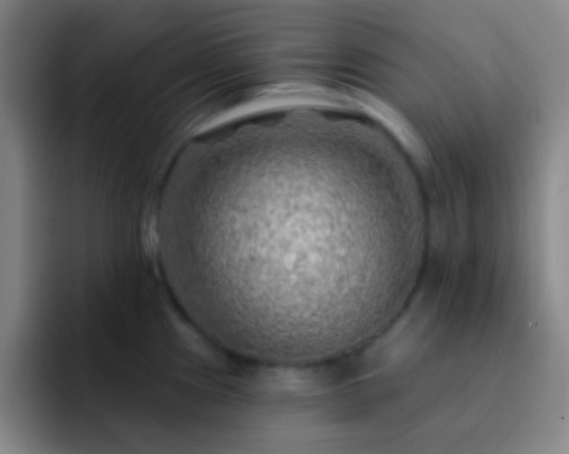 X0000092301241200709211225