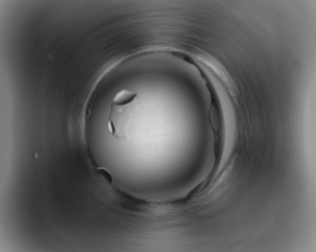 X0000092301242200709211225
