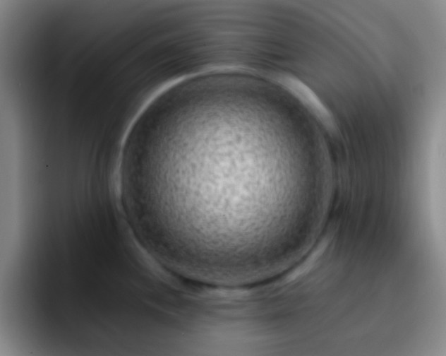 X0000092301244200709211225