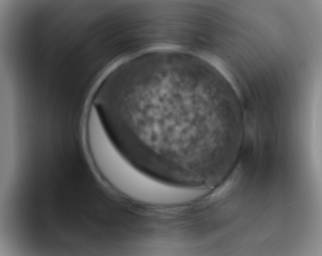 X0000092301245200709211225