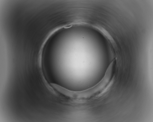 X0000092301246200709211225