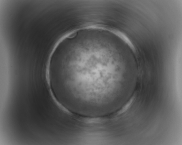 X0000092301247200709211225