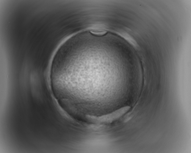 X0000092301248200709211225