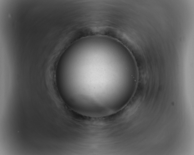 X0000092301249200709211225