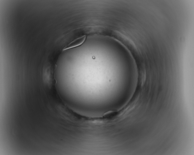 X0000092301250200709211225
