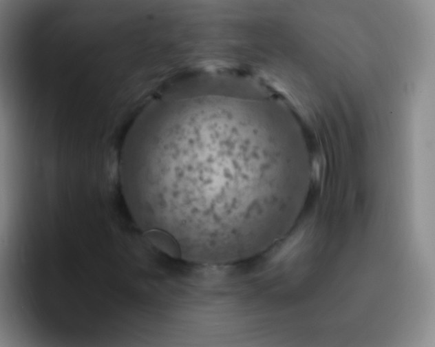 X0000092301251200709211225
