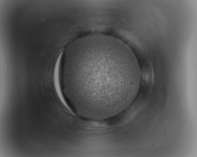 X0000092301252200709211225