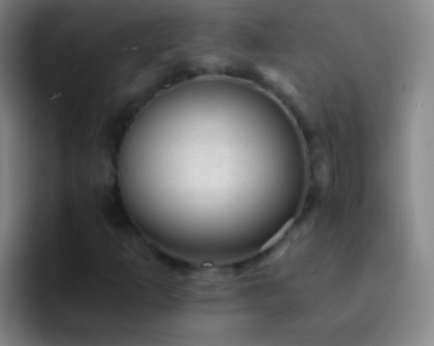 X0000092301253200709211225