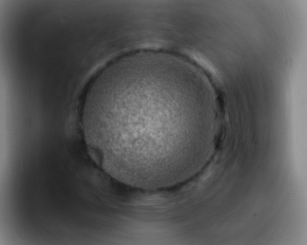 X0000092301256200709211225