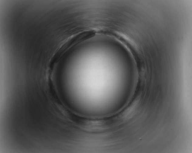 X0000092301257200709211225