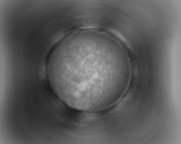 X0000092301258200709211225