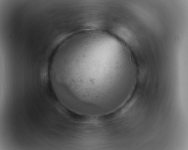 X0000092301259200709211225