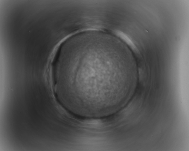 X0000092301260200709211225
