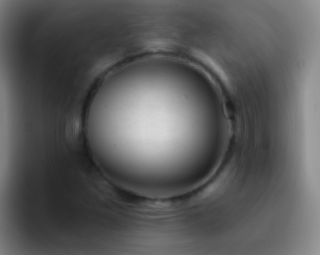 X0000092301261200709211225