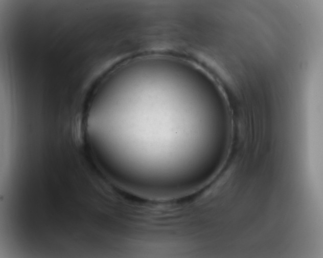X0000092301262200709211225