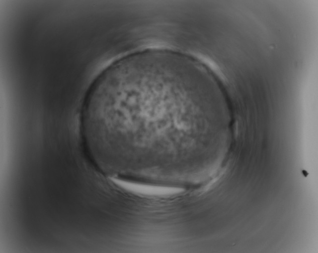 X0000092301263200709211225
