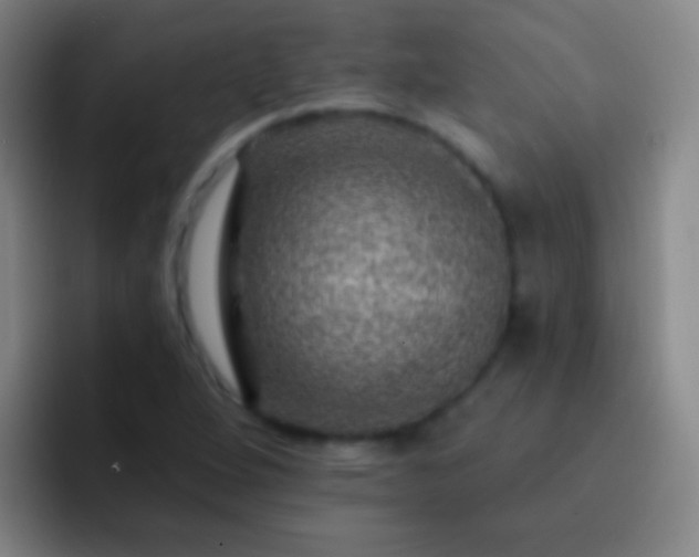 X0000092301264200709211225