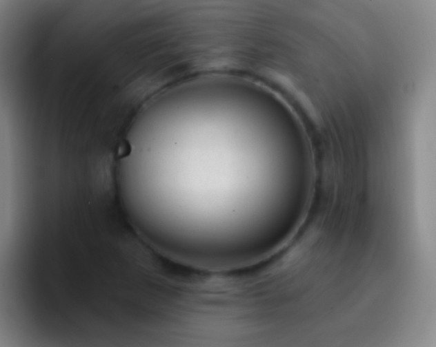 X0000092301265200709211225