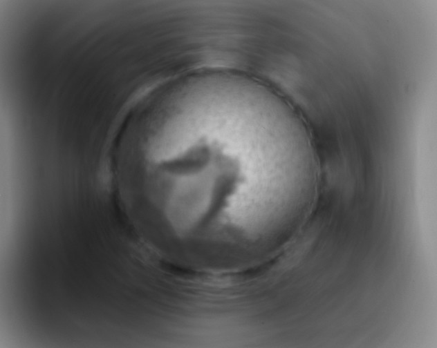 X0000092301266200709211225
