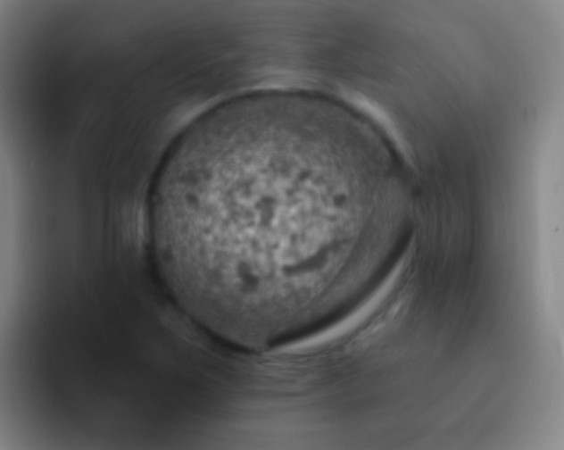 X0000092301267200709211225