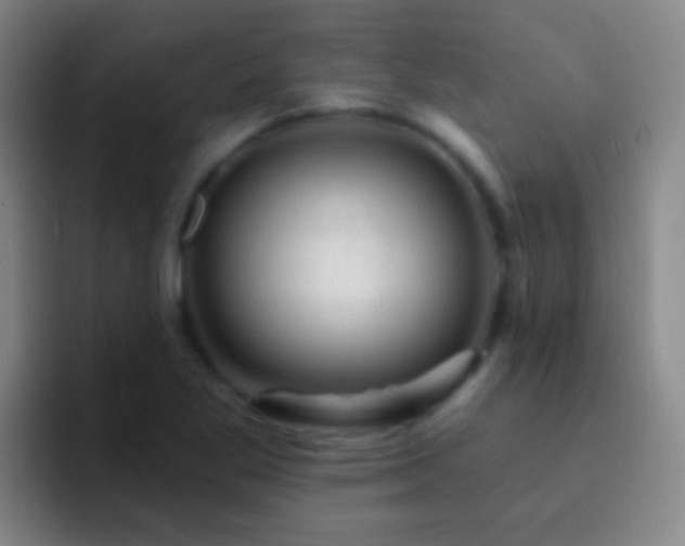 X0000092301269200709211225