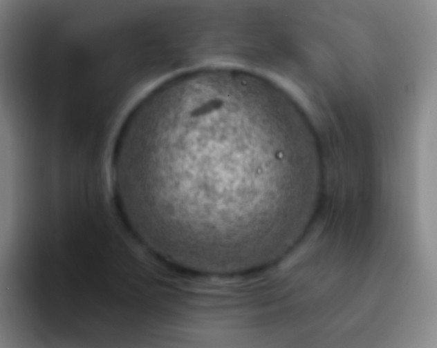 X0000092301271200709211225