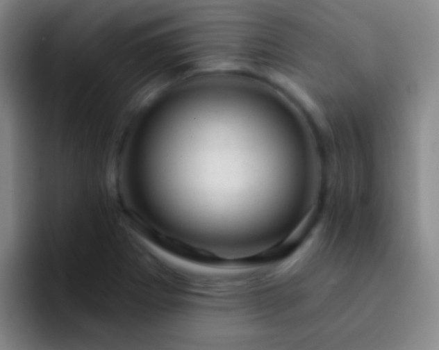 X0000092301273200709211225