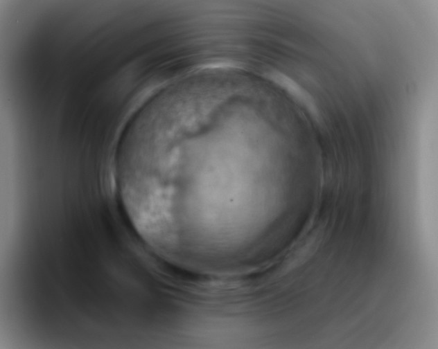 X0000092301274200709211225