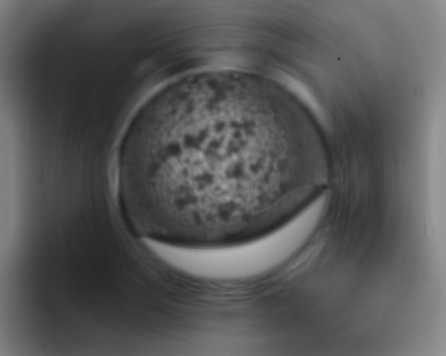 X0000092301275200709211225